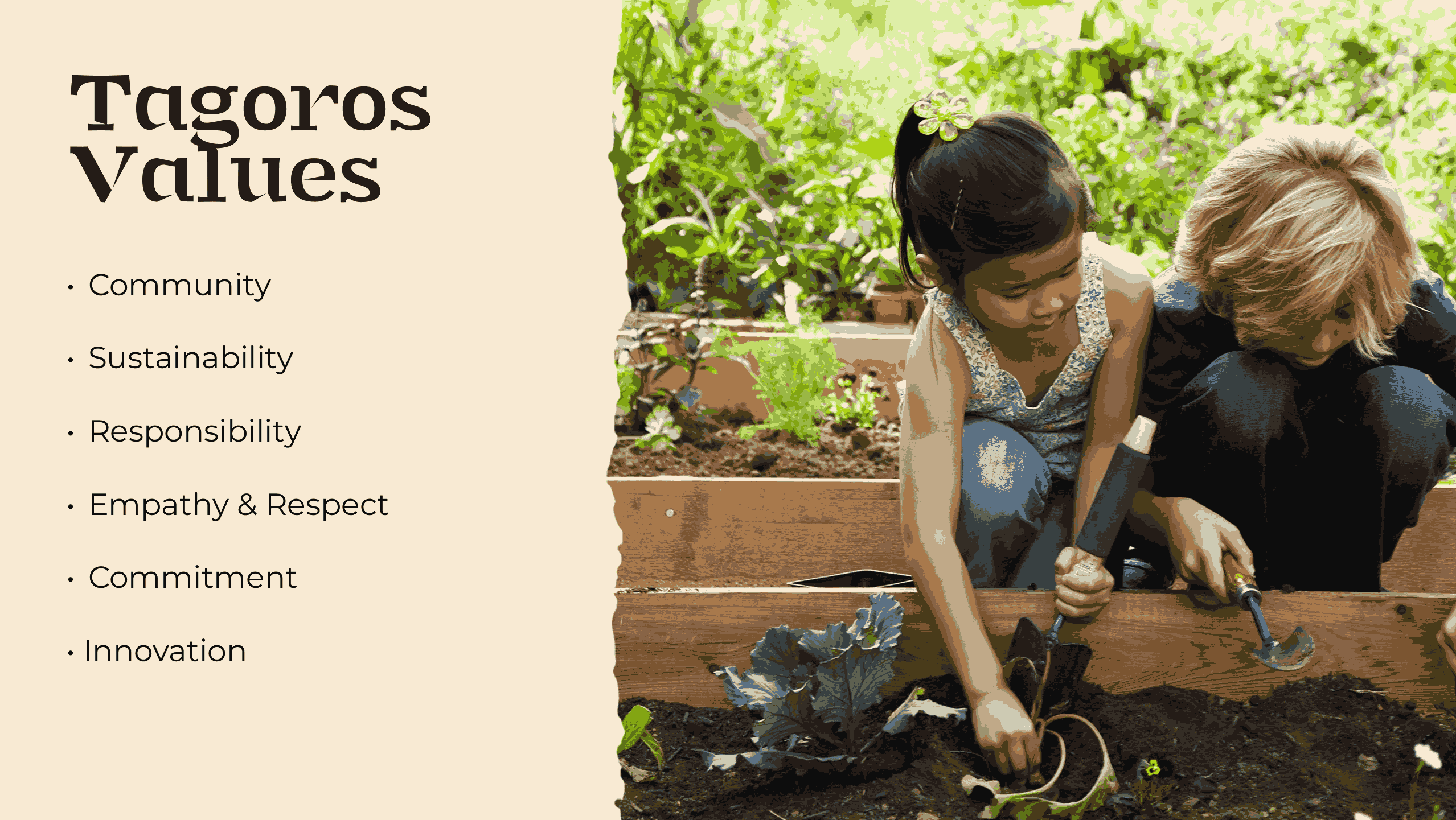 Tagoros values